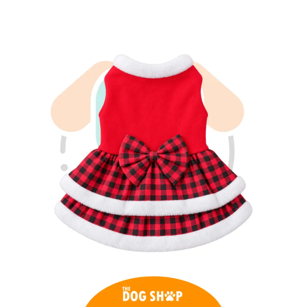 1QIML (8).webp