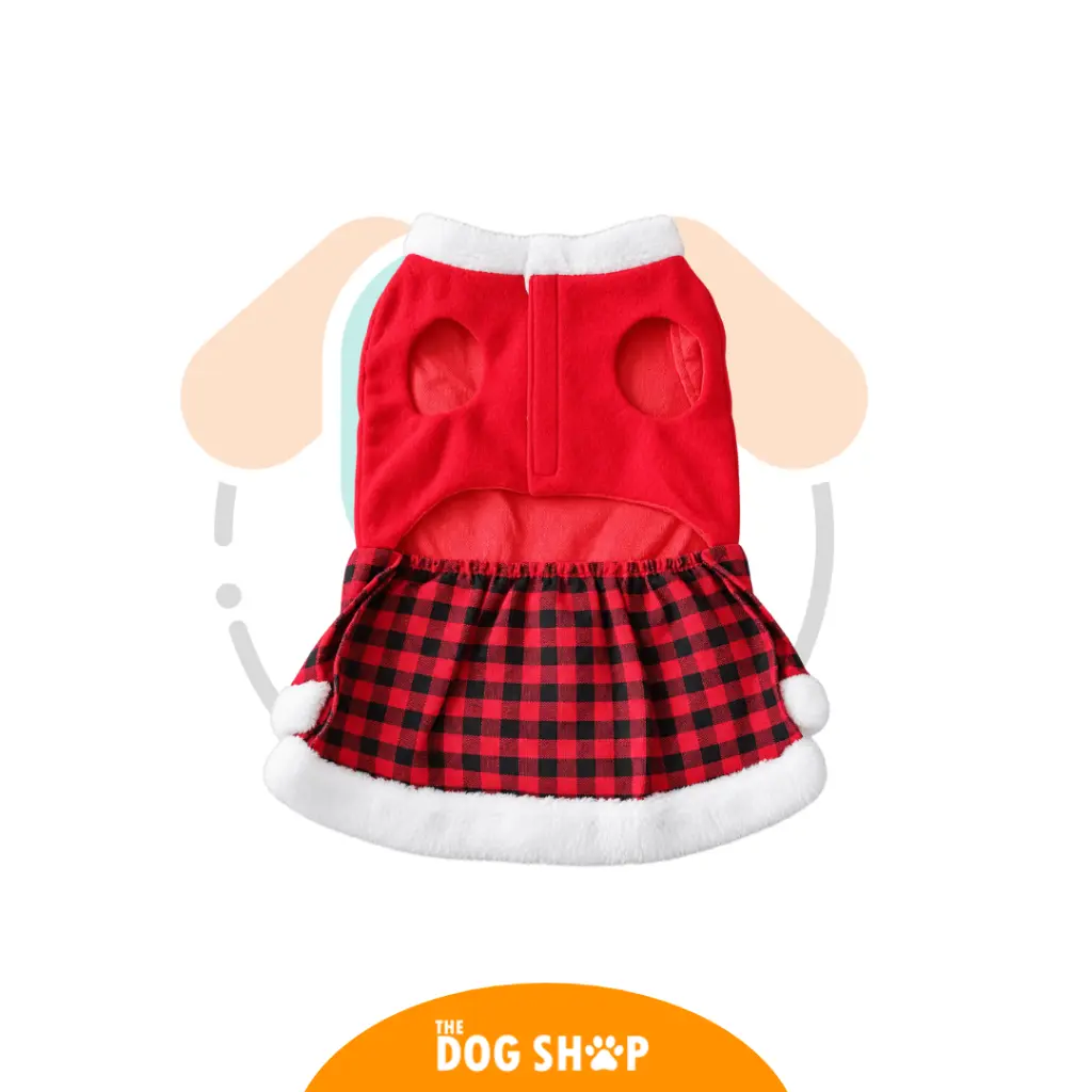 1QIML (7).webp
