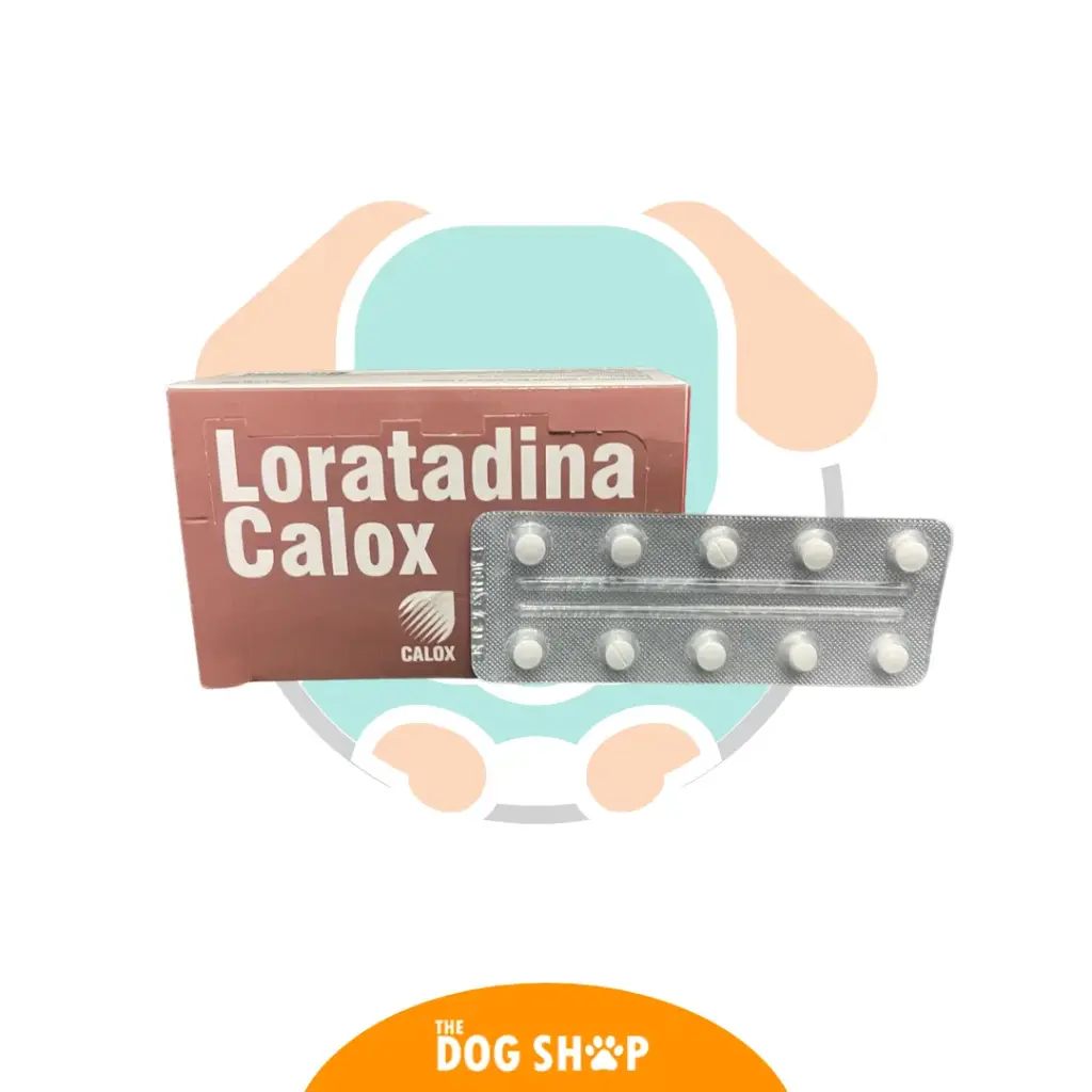 Loratadina Blister 10 unidades 