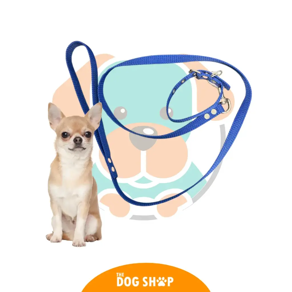 Correa con Collar Coarse Fuerte