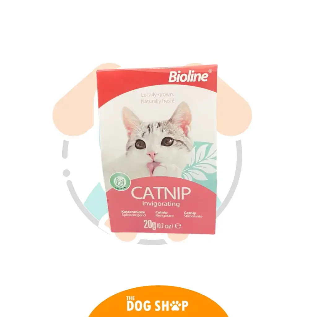 Catnip Invigorating