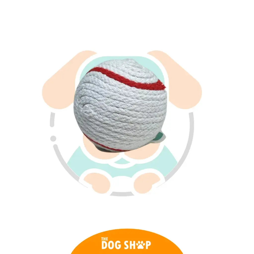 PELOTA BLANCA