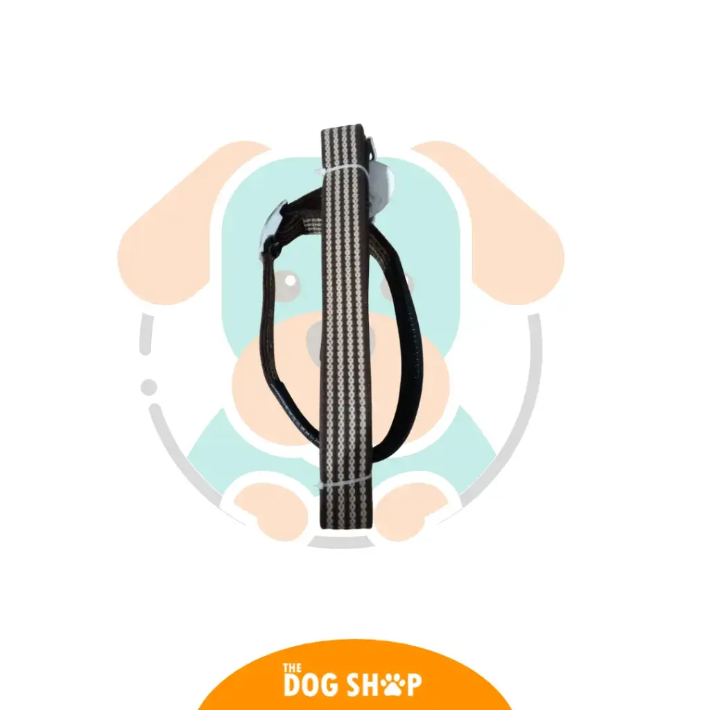 CORREA Y COLLAR COLORES 