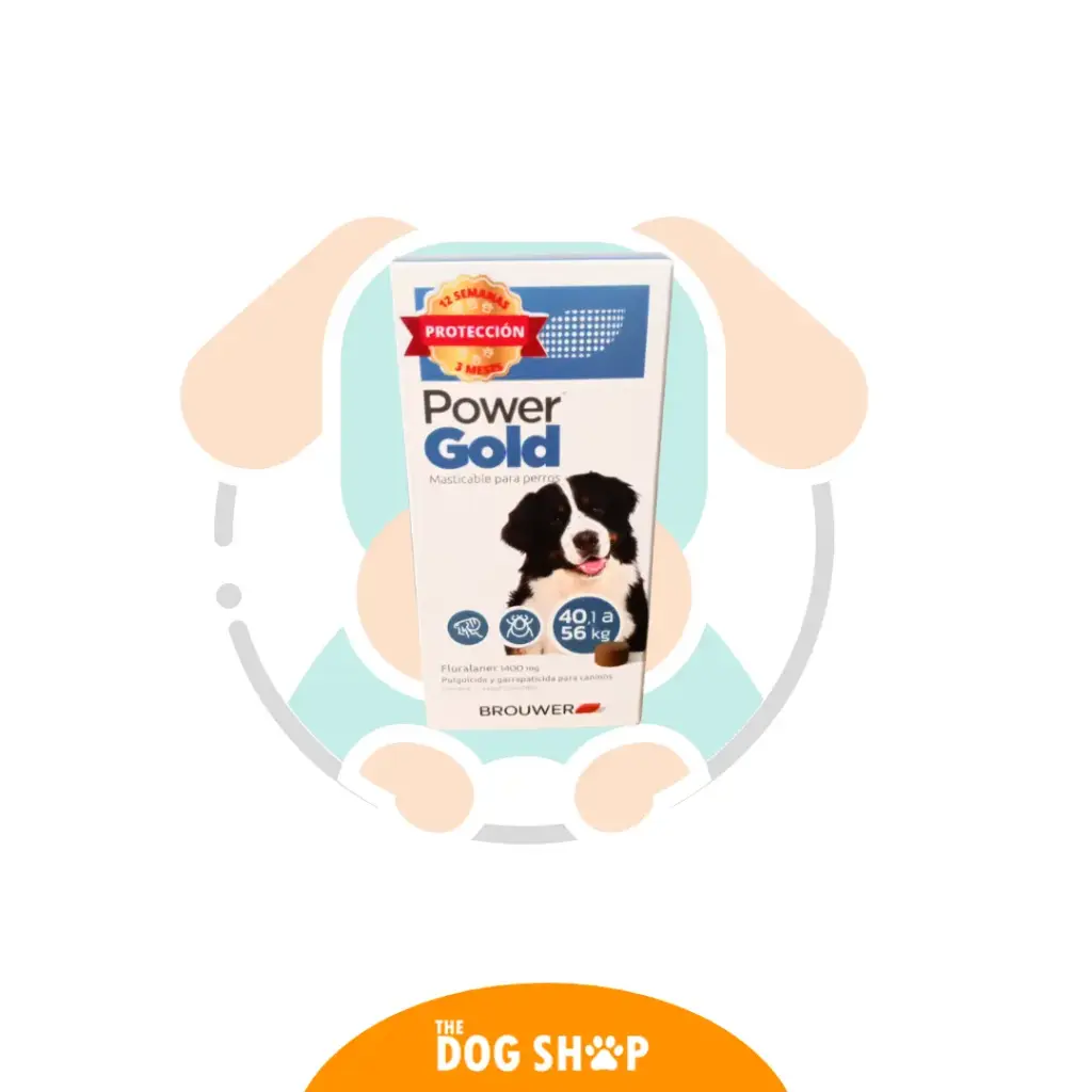POWER GOLD 40 A 56KG