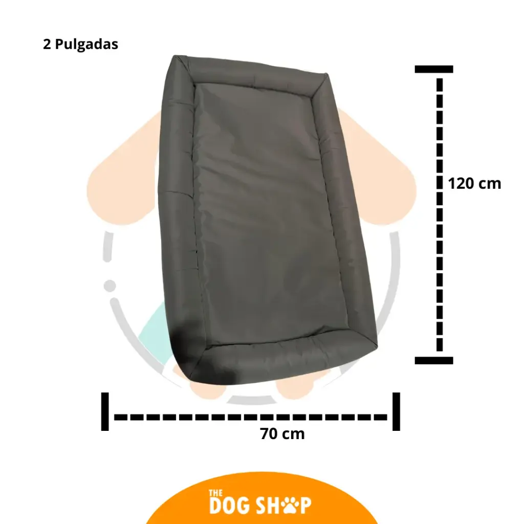 Cama 2 pulgadas Grosor Gris Impermeable 120 cm x 70 cm L 