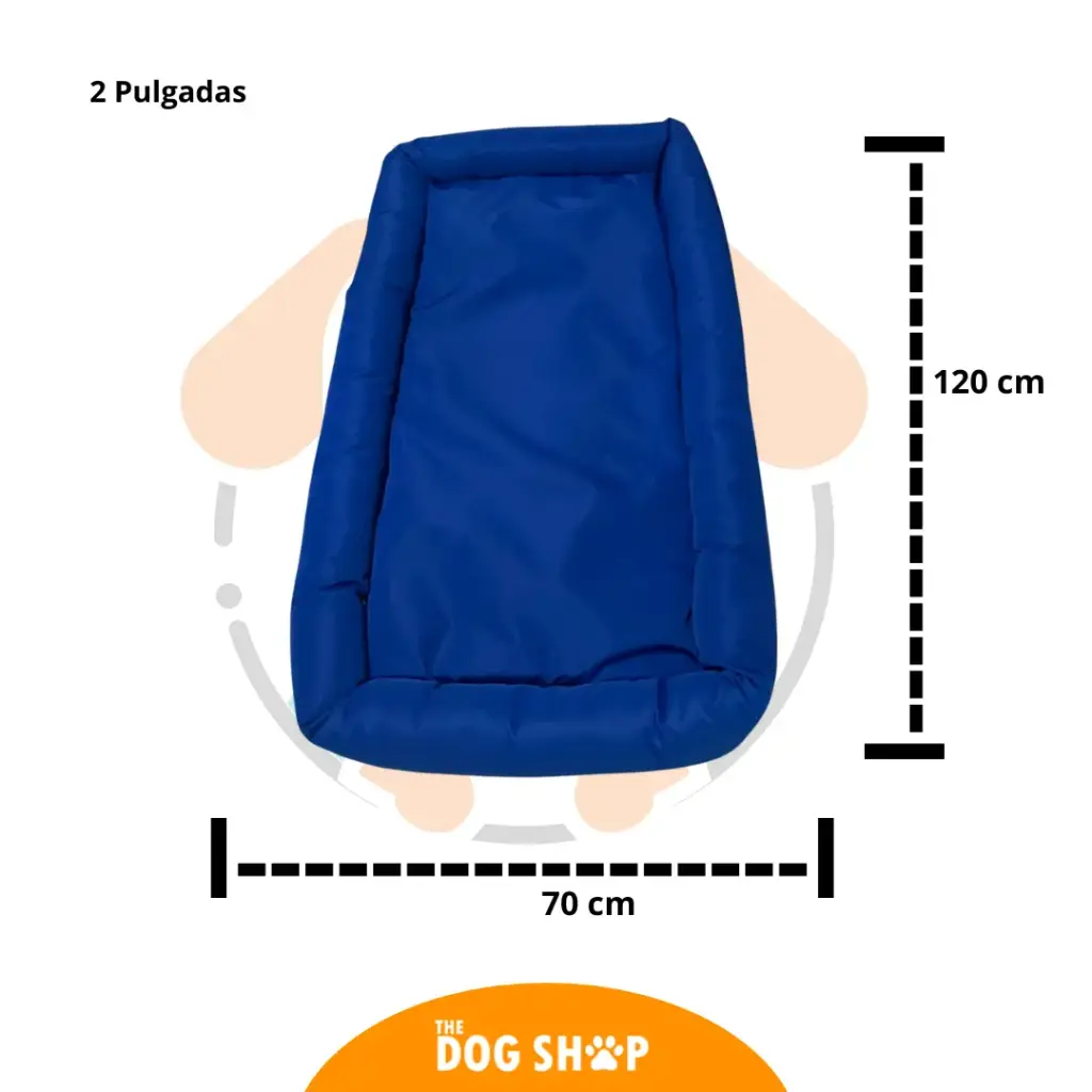 Cama 2 pulgadas Grosor Azul Impermeable 120 cm x 70 cm L 