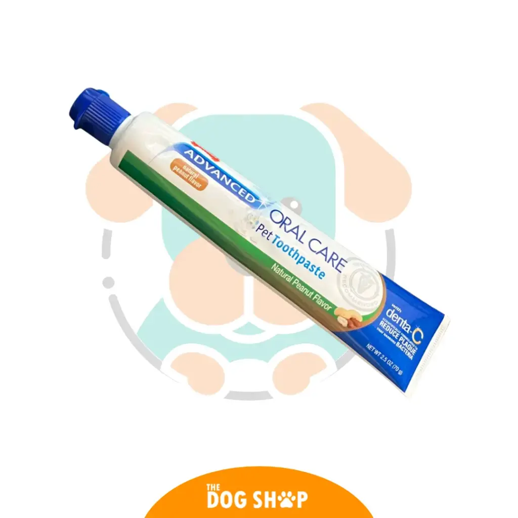 Pasta Dental Advanced Oral Care Nylabone