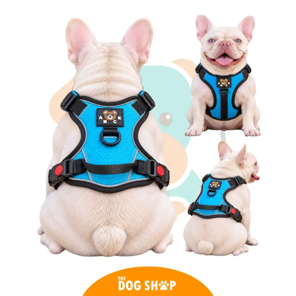 Pechera Para perro ajustable con agarradera - Azul talla M