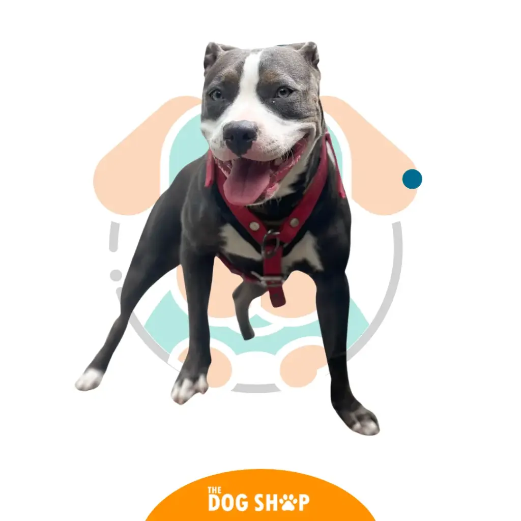 Pechera Extra Fuerta Coarse 