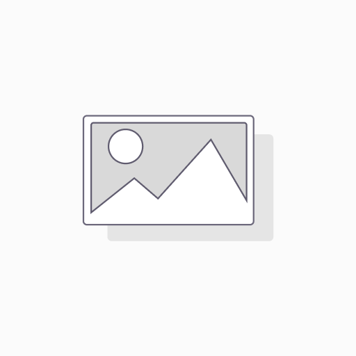 [CT01] CAMA COLOR GRIS CON TECHO 