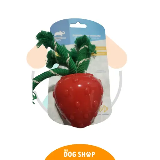 [PS1047] Juguete Fruta Animal Planet