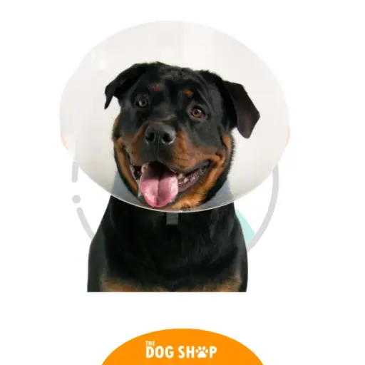 Collar Isabelino 35 cm perros Xtra grandes 
