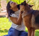 Montarse de manera obsesiva a otros Perros y/o Perras