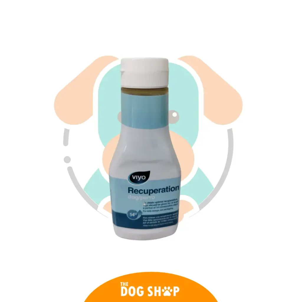 Viyo Recuperation Perro INDIVIDUAL BOTE