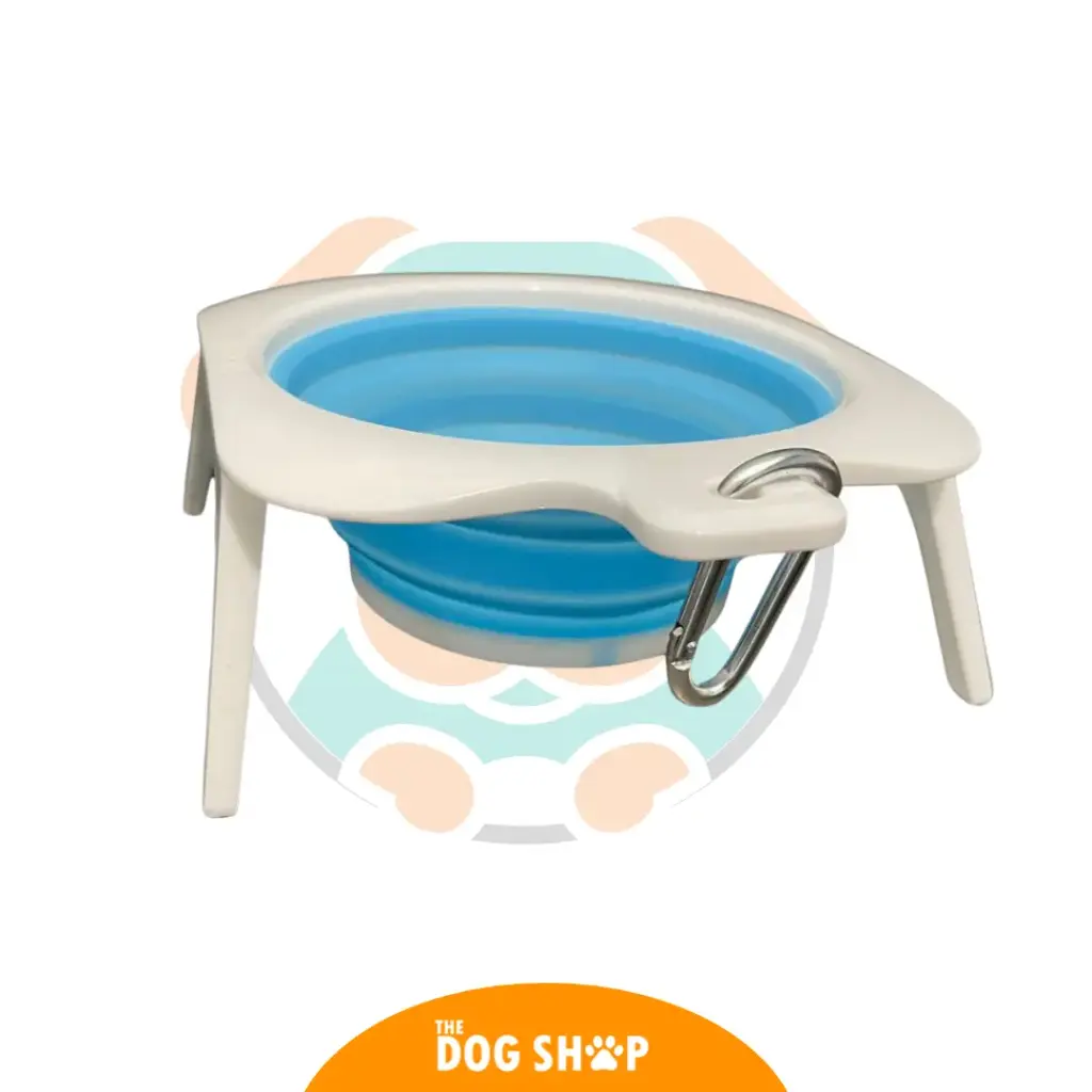 Plato Viajero con Base