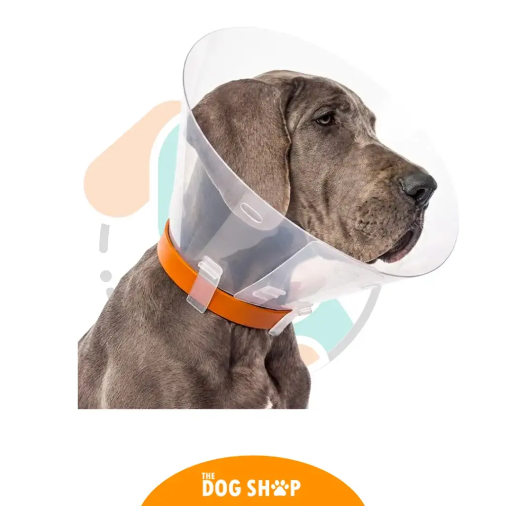Collar Isabelino 40 cm perros Xtra grandes