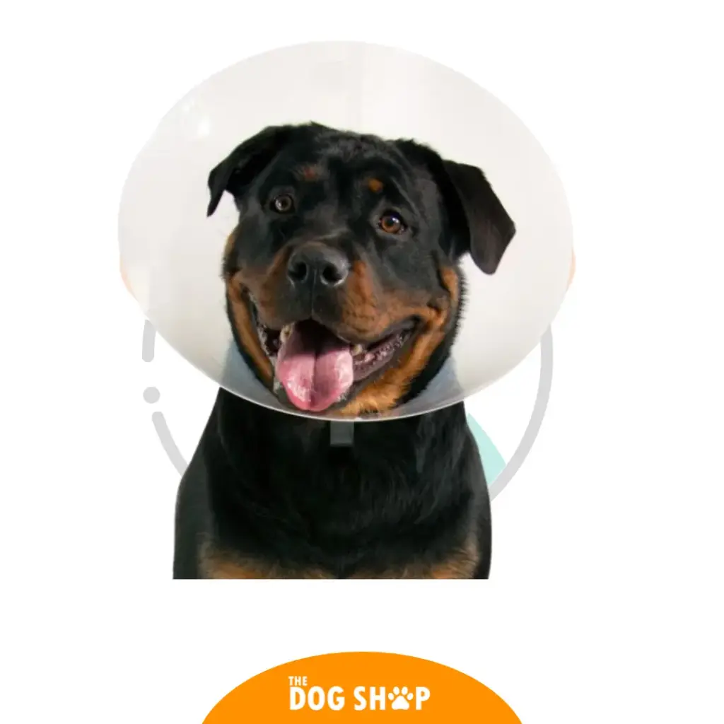 Collar Isabelino 35 cm perros Xtra grandes 