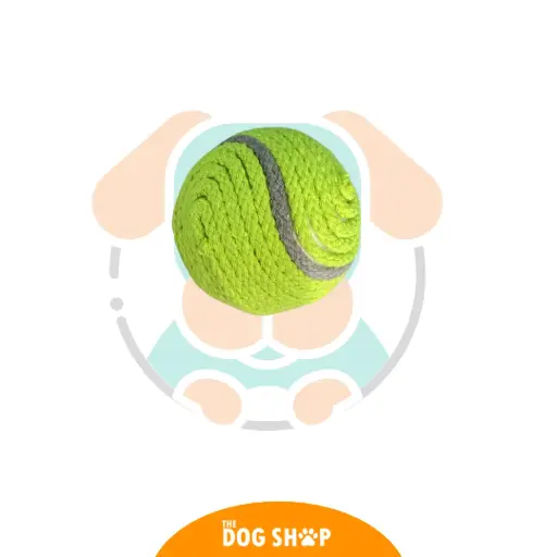 [6940363241099] PELOTA VERDE DE TENIS PET 