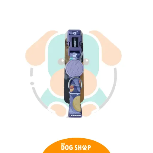 [6935148990248] COLLAR PARA MASCOTAS DE COLORES